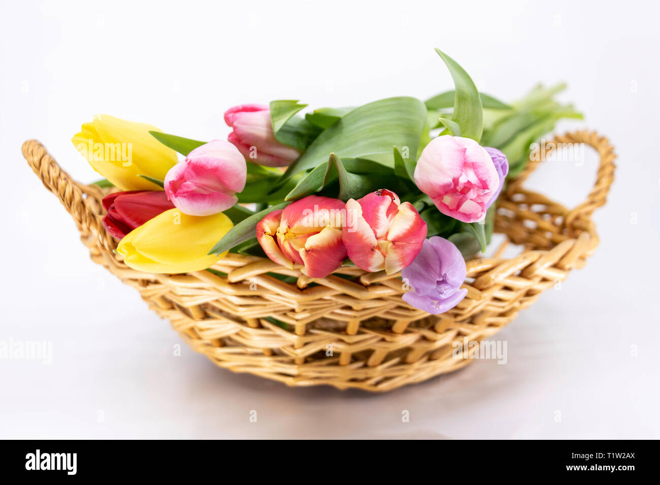 Vorderansicht eines tulip Blumenstrauß für Frühling und Ostern Stockfoto