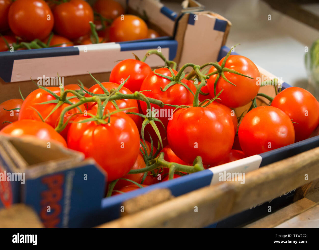 Tomaten zum Verkauf im Hofladen in Essington Farm Woverhampton Stockfoto