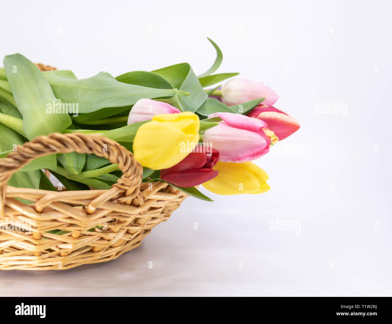 Grafik Ressource, die Ankunft des Frühlings Blumenstrauß aus Tulpen Stockfoto