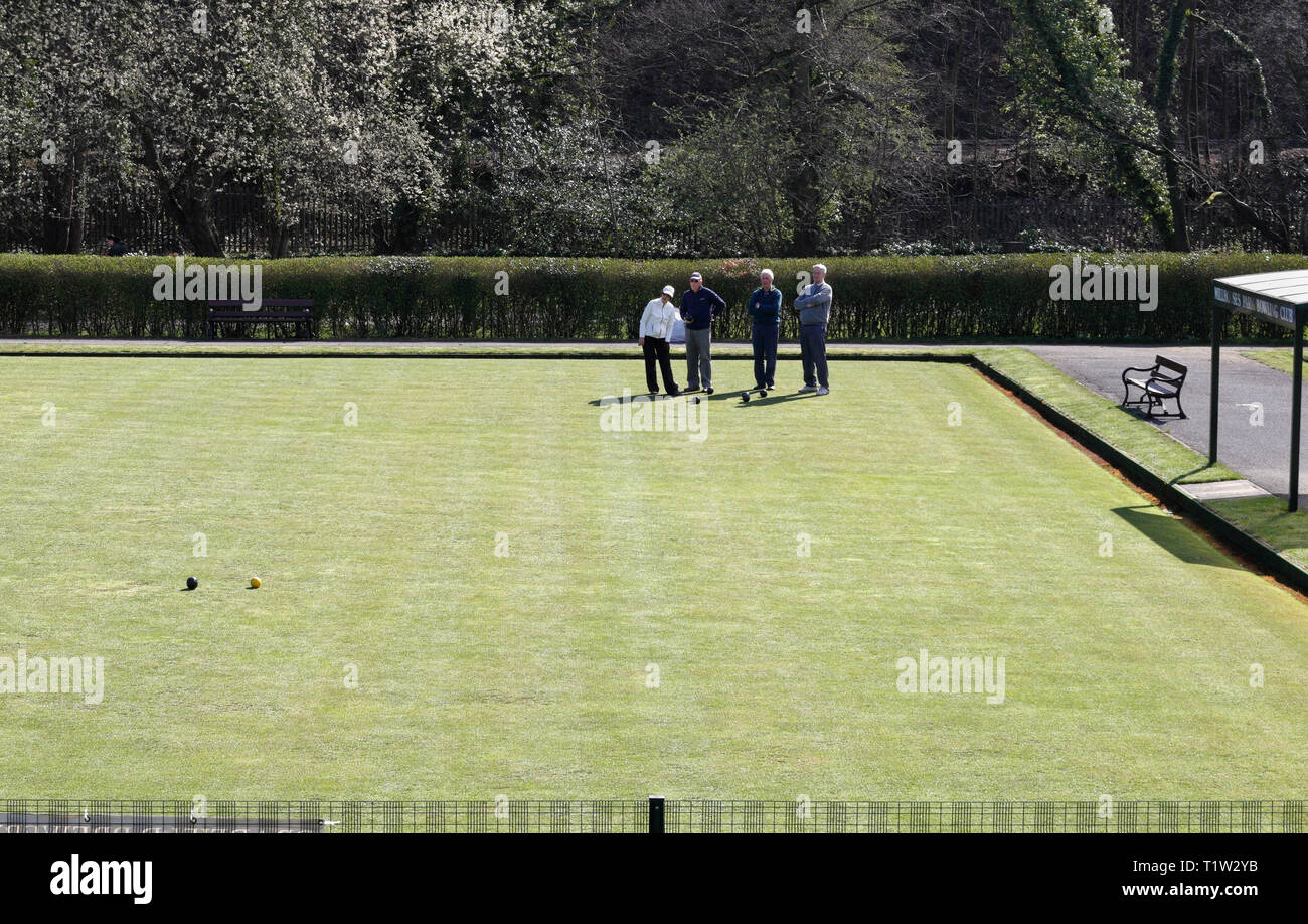Gruppe von Menschen spielen, Boccia, Millhouses Park, Sheffield, England, Großbritannien Stockfoto