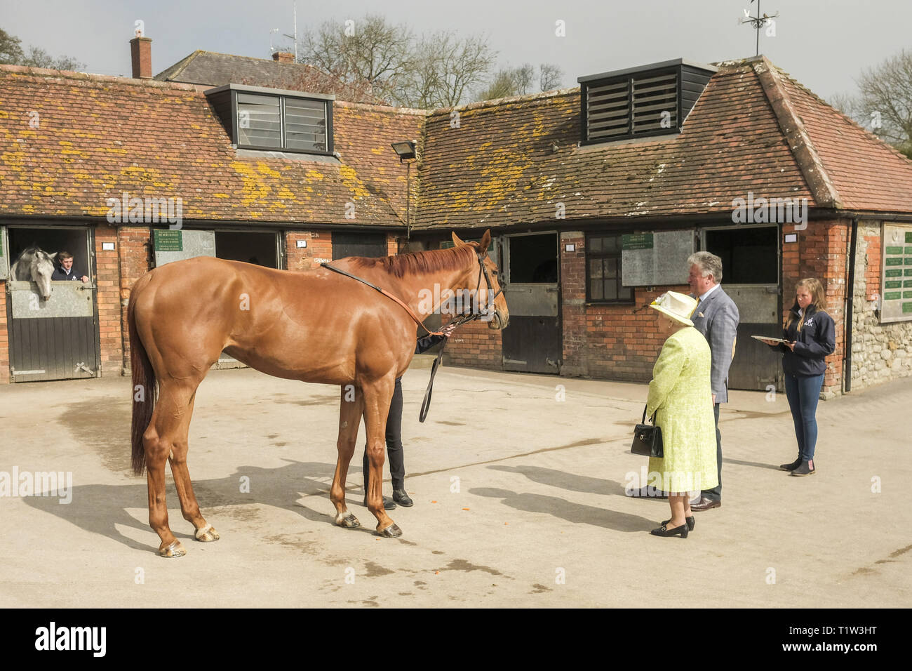 Queen Elizabeth II mit Trainer Paul Nicholls und Rennpferd Topofthegame auf der Manor Farm Stables im Ditcheat, Somerset, wo Sie mit Trainern und Mitarbeitern, um die Pferde auf der Parade und von der Universität von Bath über Forschungsprojekte auf den Pferdesport spinalen Verletzungen und Rennpferd wohl hören. Stockfoto