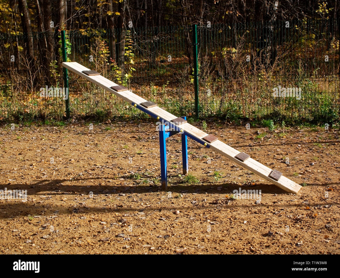 Hund Wandergebiet an einem klaren Tag, Moskau Stockfoto