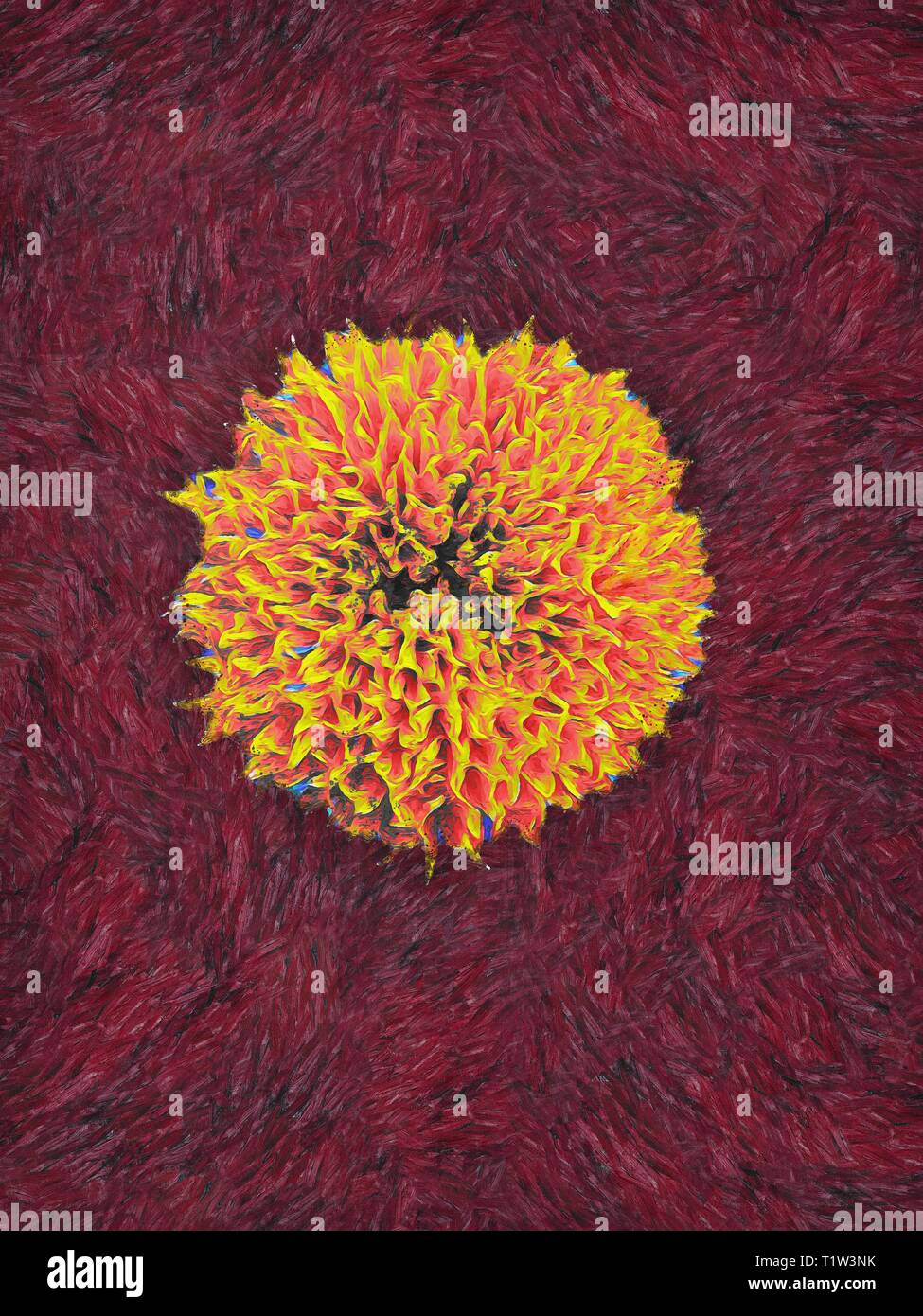 Ein Gemälde eines isolierten marigold Flower im Stil von post-impressionistischen Maler Vincent van Gogh. Stockfoto