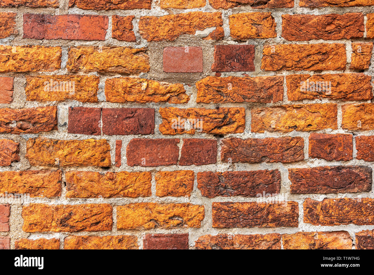 Brick Wall, Mecklenburg-Vorpommern, Deutschland Stockfoto