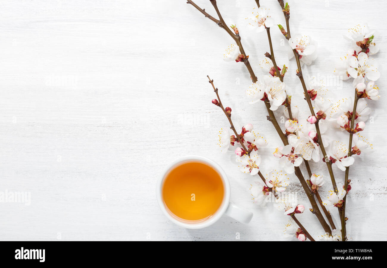 Tasse Tee und Frühlingsblumen (Blüten von Apricot) auf alte, schäbige Tabelle. Stockfoto