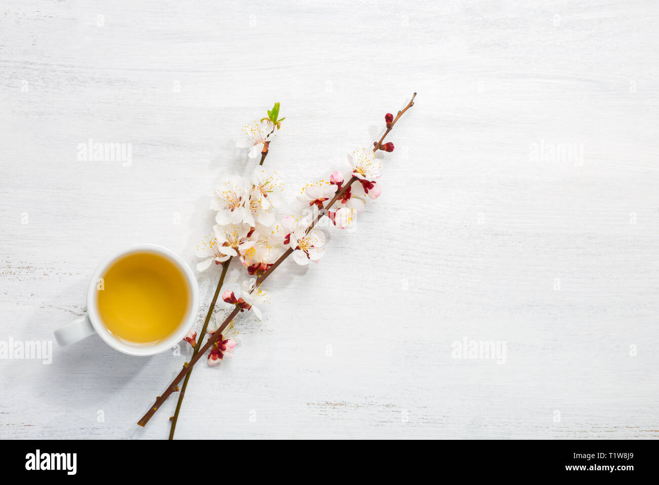 Tasse Kaffee und zwei Filialen der blühenden Aprikose auf alte, schäbige Tabelle. Stockfoto