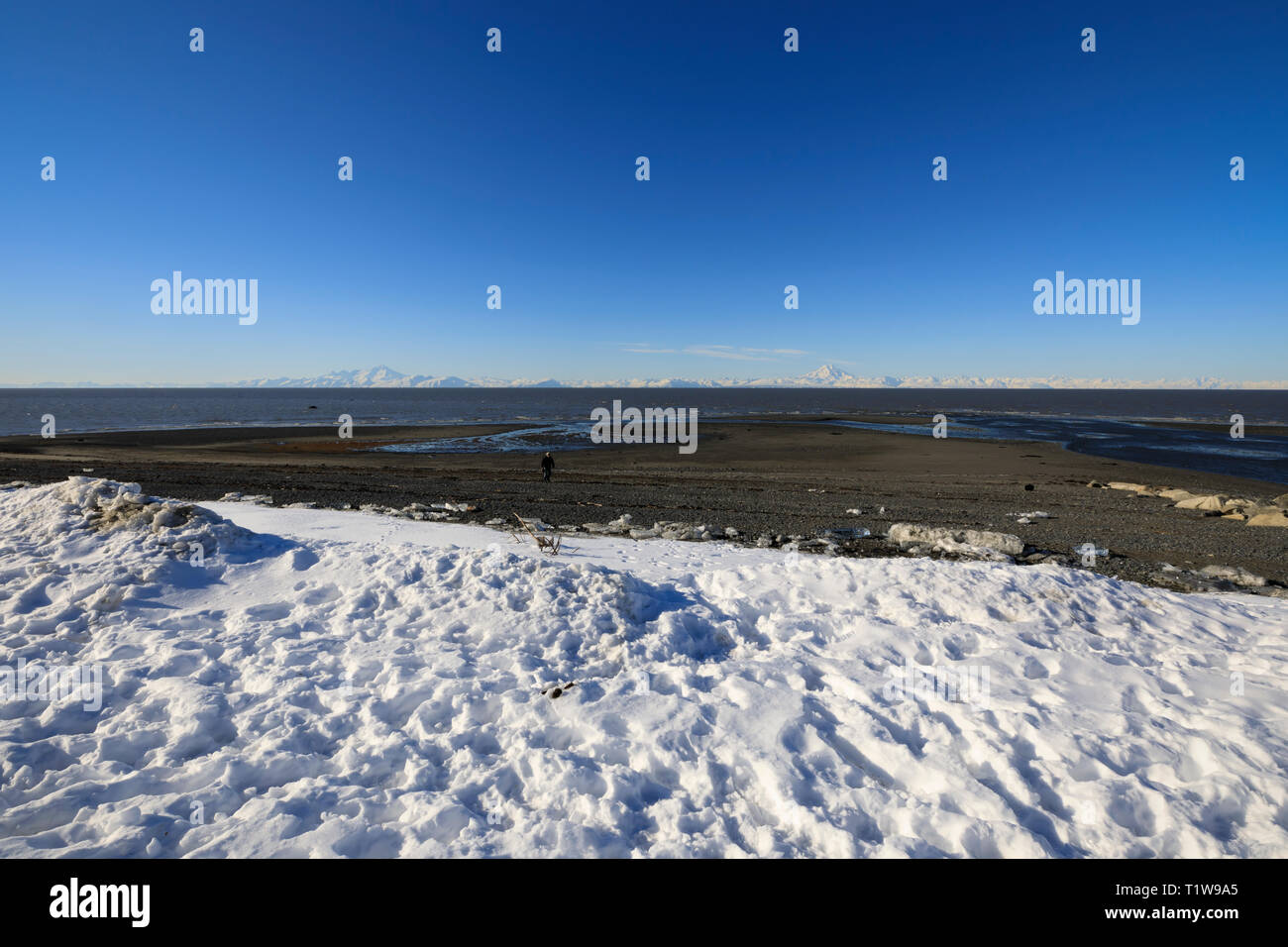 Cook Inlet und der Alaska Range von Ninilchik Stockfoto