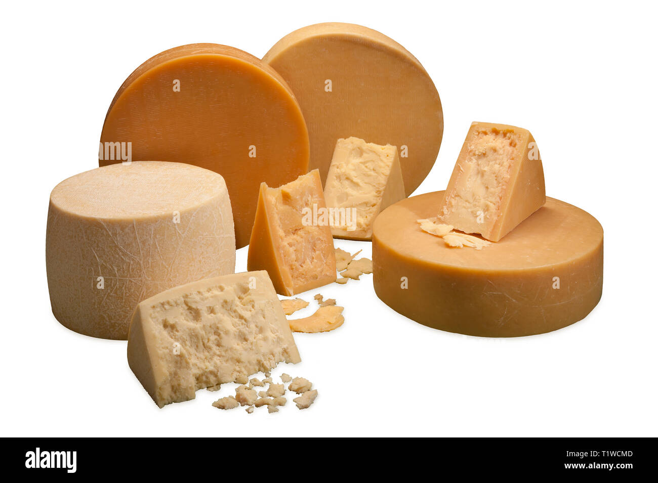 Italienische Käse Gruppe Stockfoto