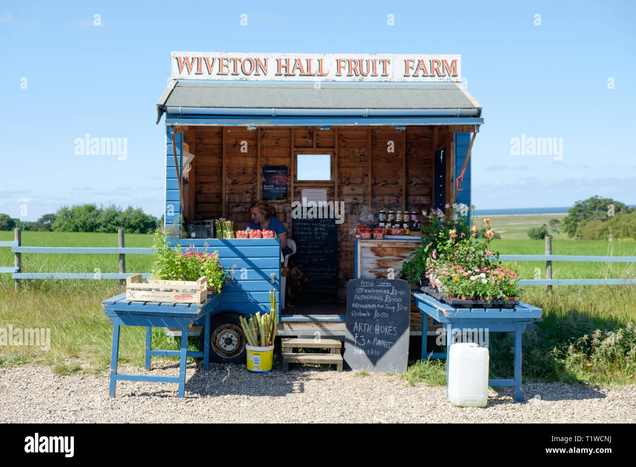 Wiveton Halle Obst Bauernhof Bauernhof am Straßenrand stehen Verkauf von Erdbeeren, Spargel und Artischocken zwischen Blakeney und Cley in Nord Norfolk, England Stockfoto