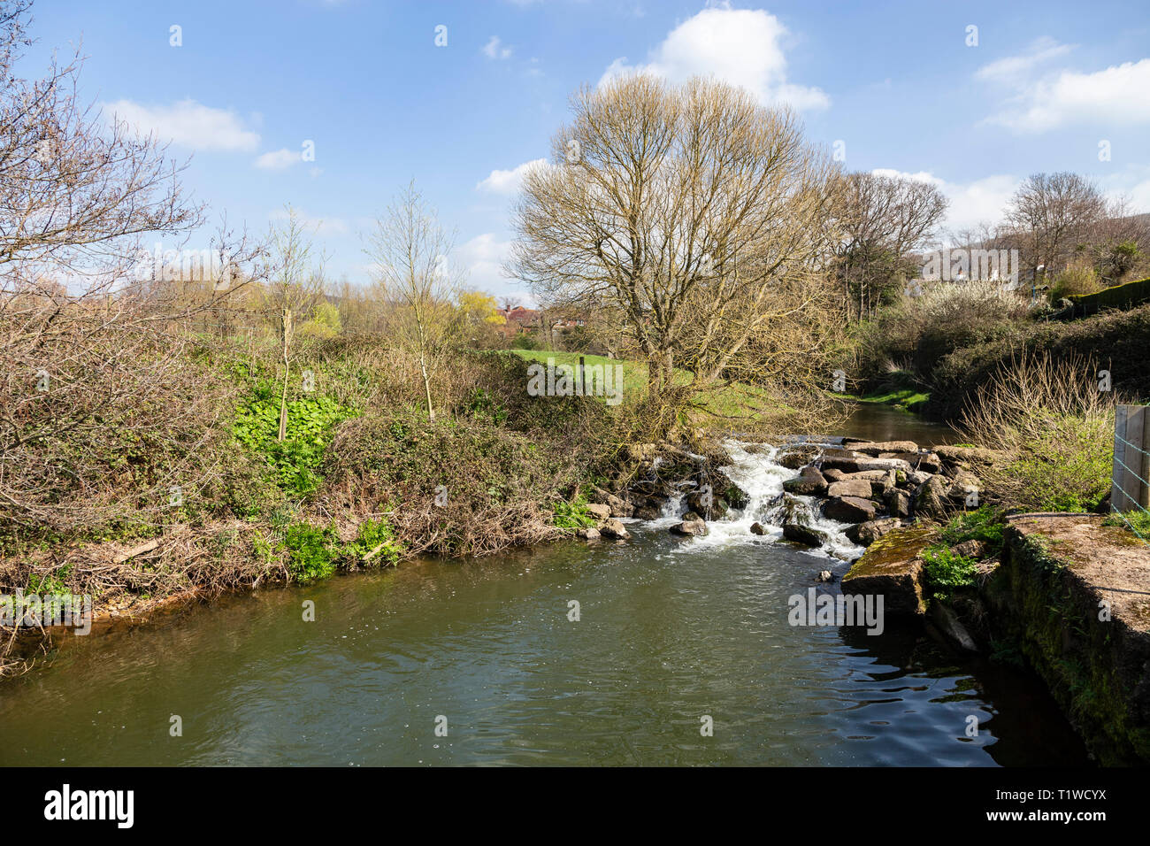 Der Fluss Ffa bei Fortescue, in der Nähe von Honiton, Devon, Großbritannien Stockfoto