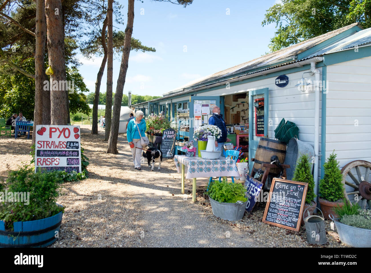 Die Außenseite des Wiveton Halle Obst Hof und Cafe in North Norfolk, England. Stockfoto