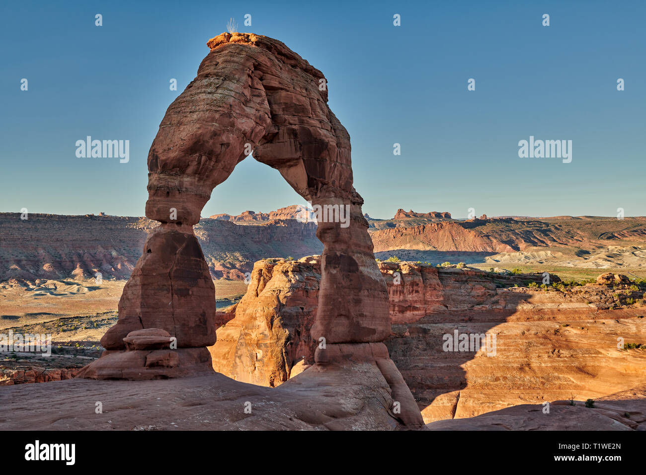 Zarte Arch im Arches National Park, Moab, Utah, USA, Nordamerika Stockfoto
