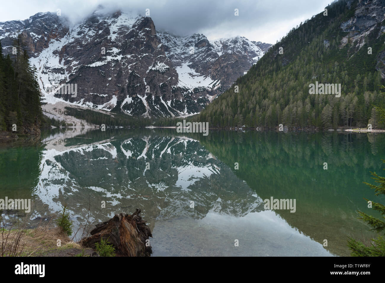 Alpine Lake (Prags Pragser Wildsee). Magie und schöne Szene. Beliebte Touristenattraktion. Ort Dolomiti, Nationalpark Fanes-Sennes- Stockfoto