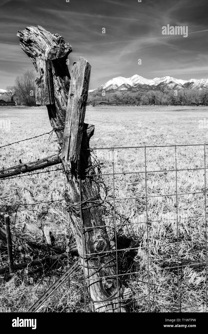 Schwarz & Weiß Nahaufnahme von Stacheldraht zaun & verwitterten hölzernen Zaun Pfosten; schneebedeckten Rocky Mountains darüber hinaus; Ranch in Colorado, USA Stockfoto