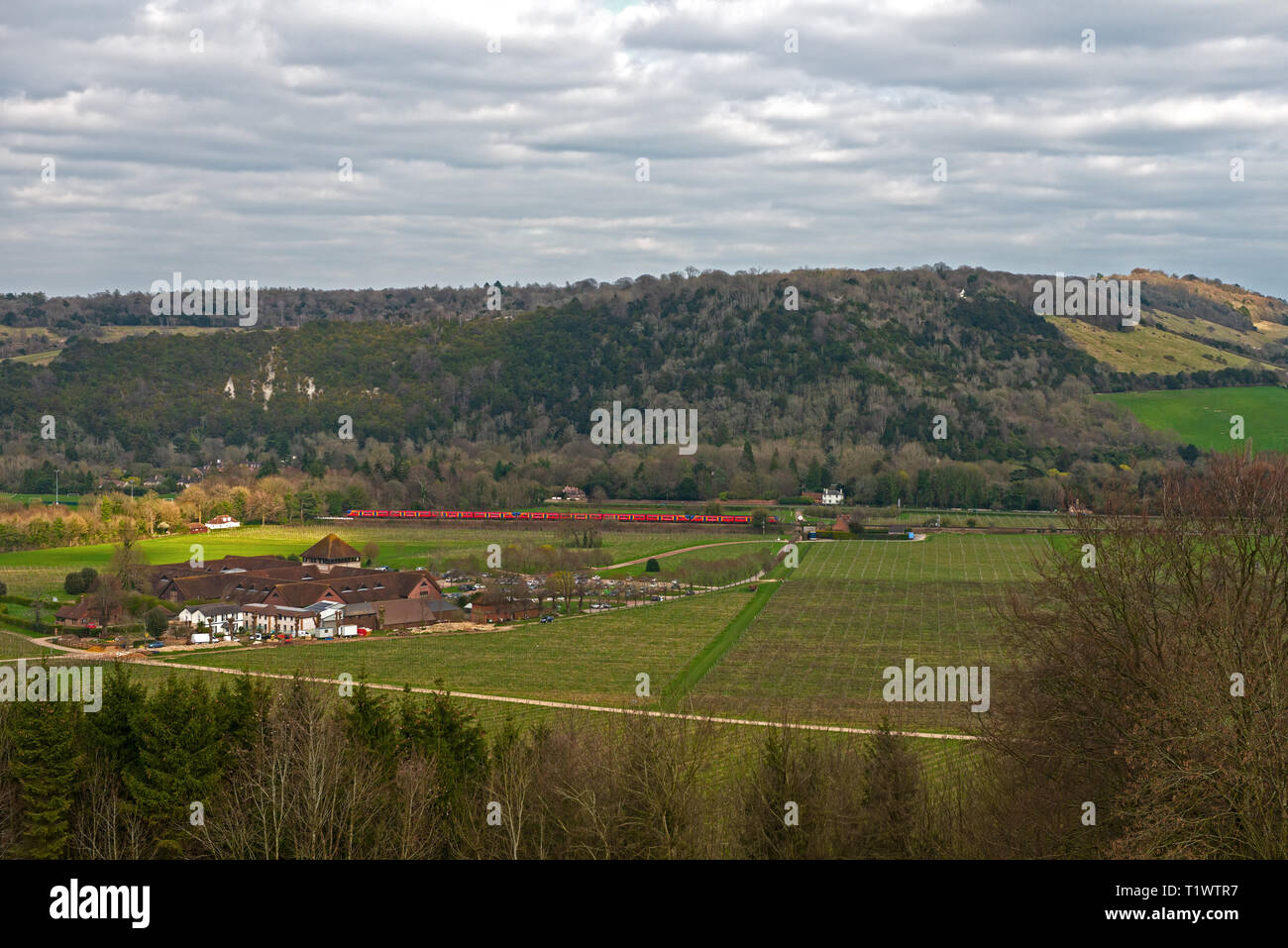 Blick auf Box Hill und Denbies Weingut und Weinberg. Dorking Surrey England Großbritannien Stockfoto