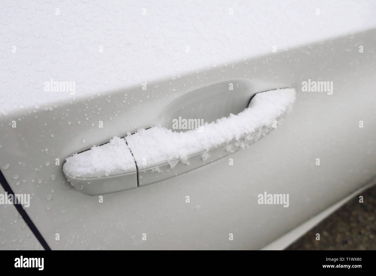 Schnee auf den Griff des weißes Auto Stockfoto