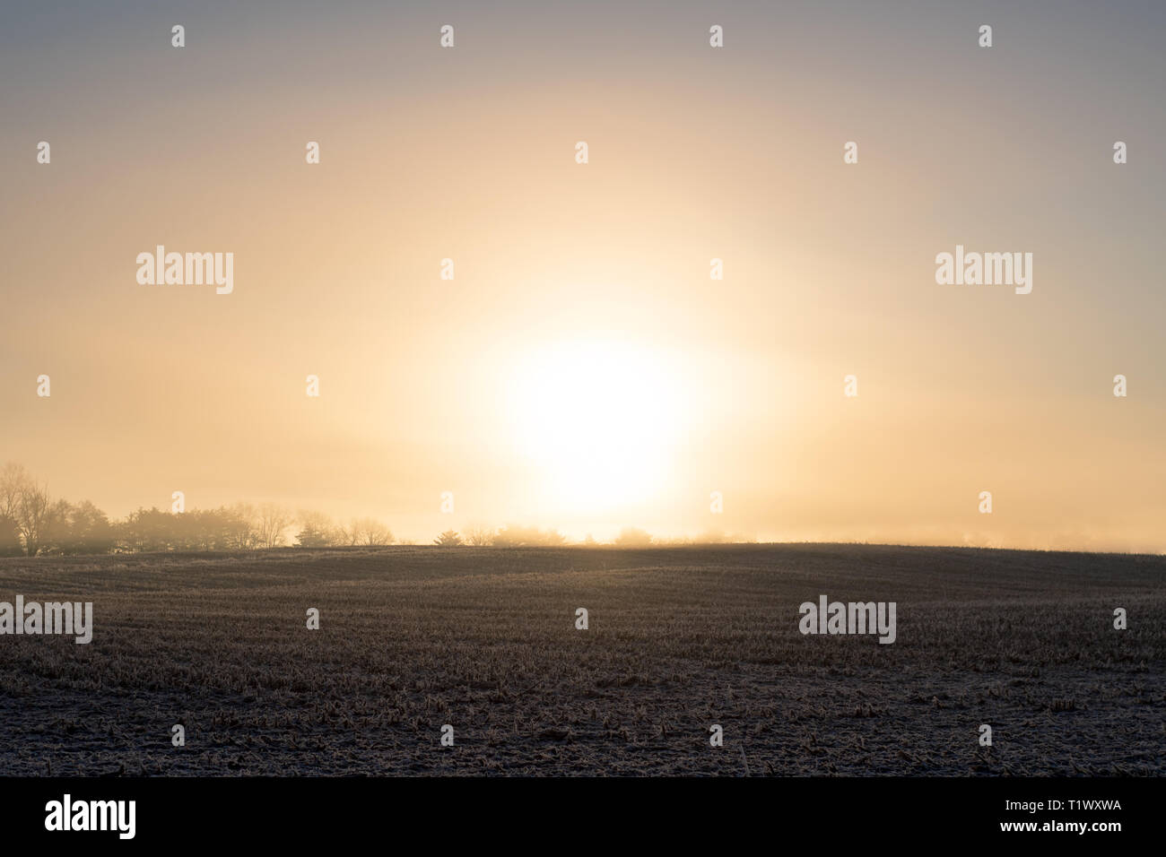 Einen schönen Sonnenaufgang mit der aufgehenden Sonne durch den Nebel vor einem offenen Feld. Stockfoto