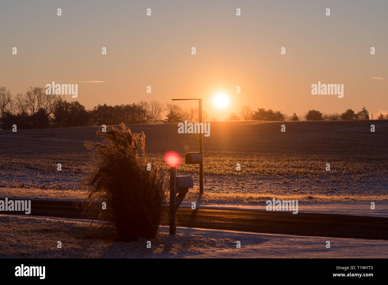 Ein tief orange Sonnenaufgang durch ein Feld und über eine Straße, glänzend Stockfoto