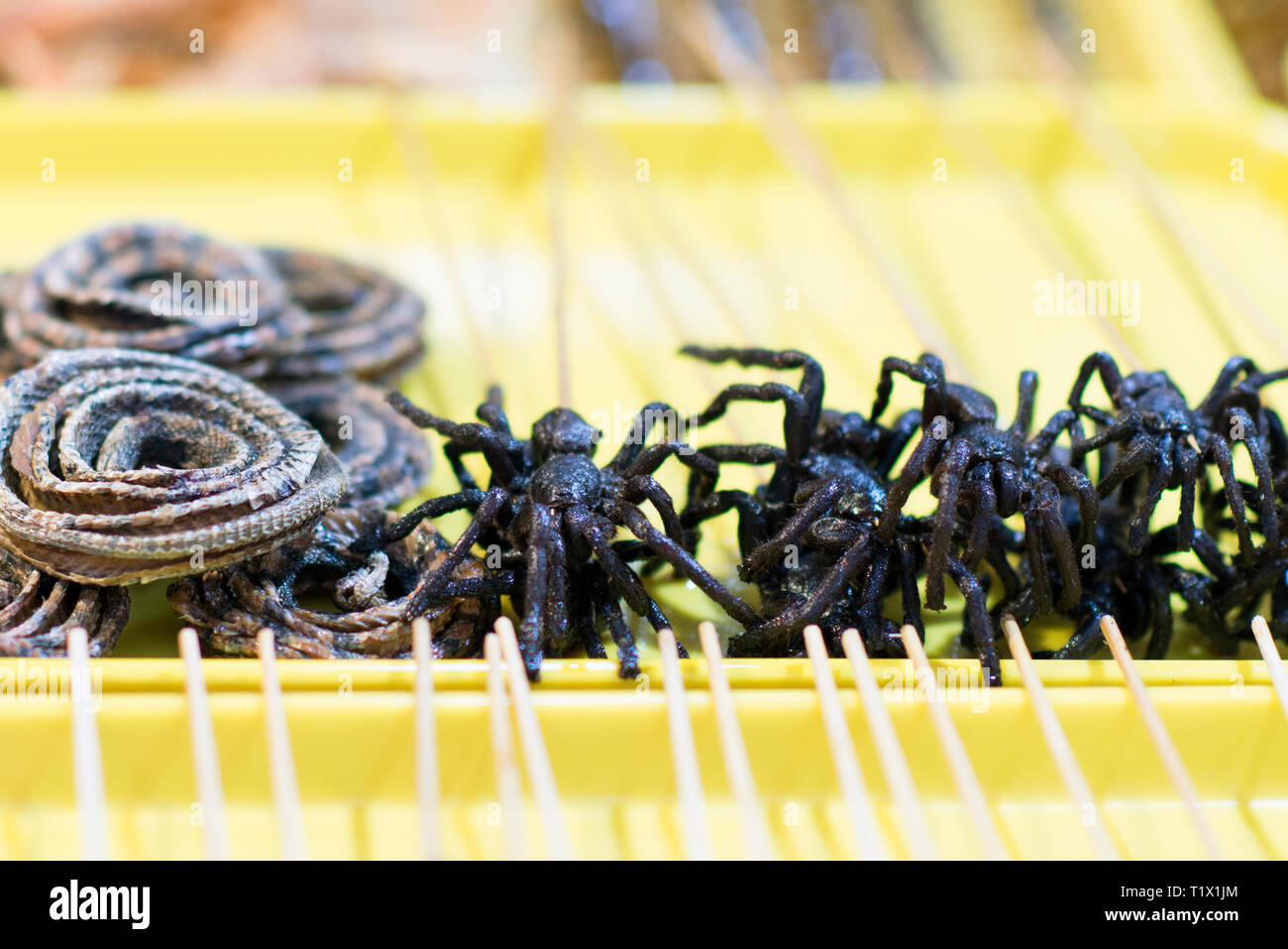 Fried Spider auf Stöcken in der Wangfujing Straße, Fried tarantula in einer Einkaufsstraße in Peking, China Stockfoto