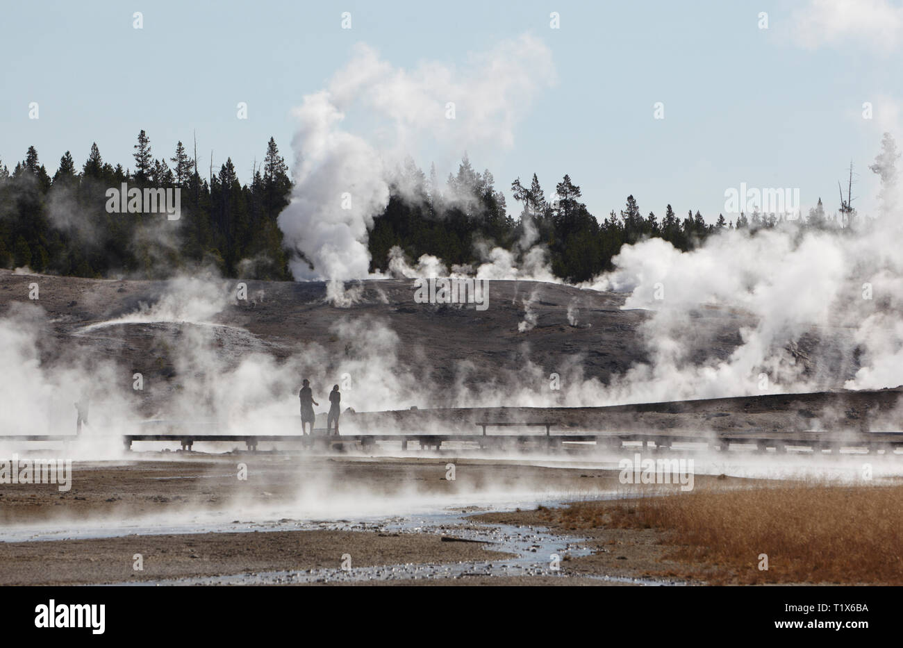 Norris Geyser Basin, Yellowstone National Park, Amerika. Stockfoto