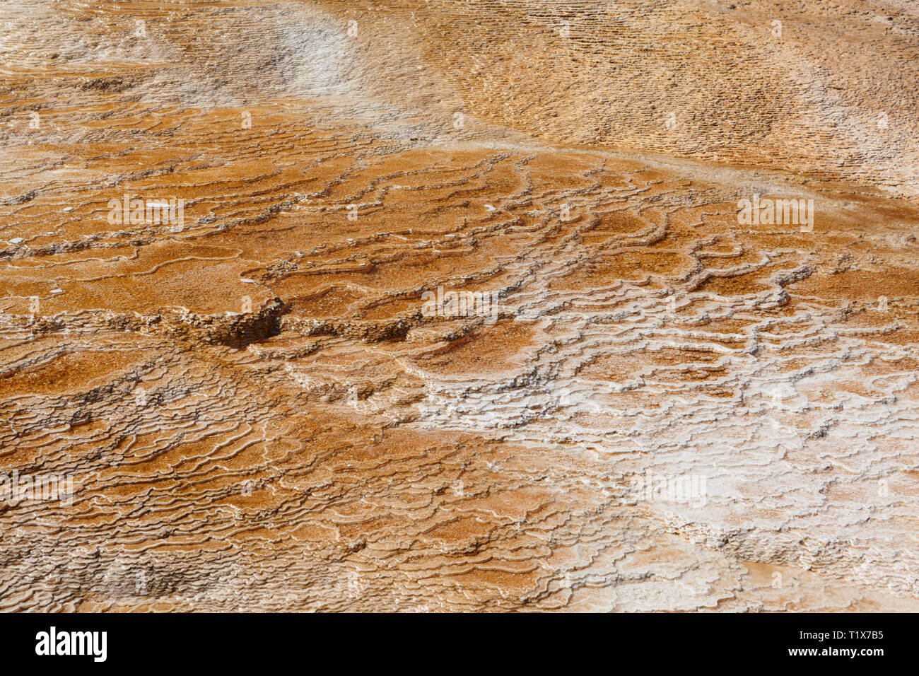 Zusammenfassung von Natur, Mammoth Hot Springs, Yellowstone National Park, Amerika. Stockfoto