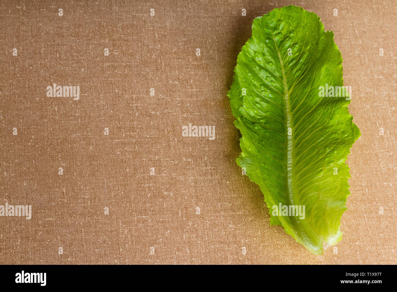 Frisches Gemüse mit strukturierten Hintergrund. Stockfoto