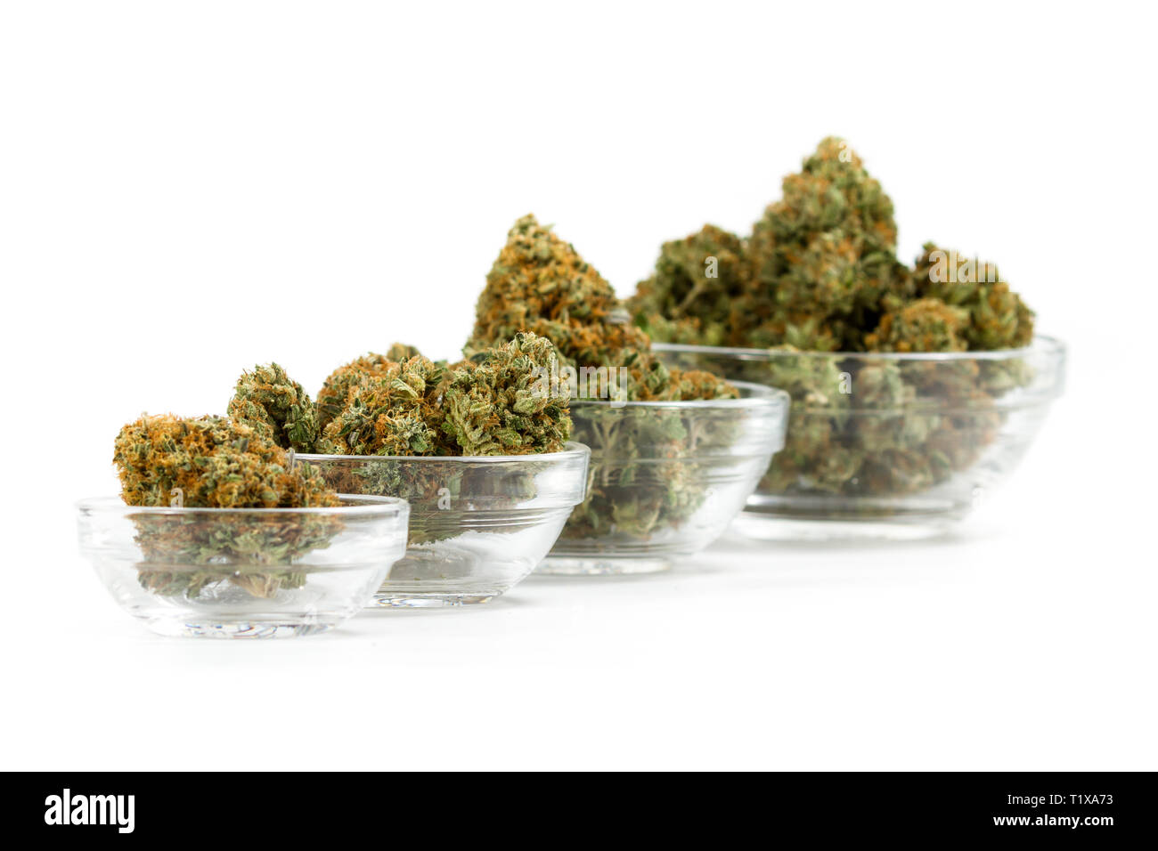 Stapelbare Behälter aus Glas mit Cannabis Knospen auf weißem Hintergrund gefüllt Stockfoto