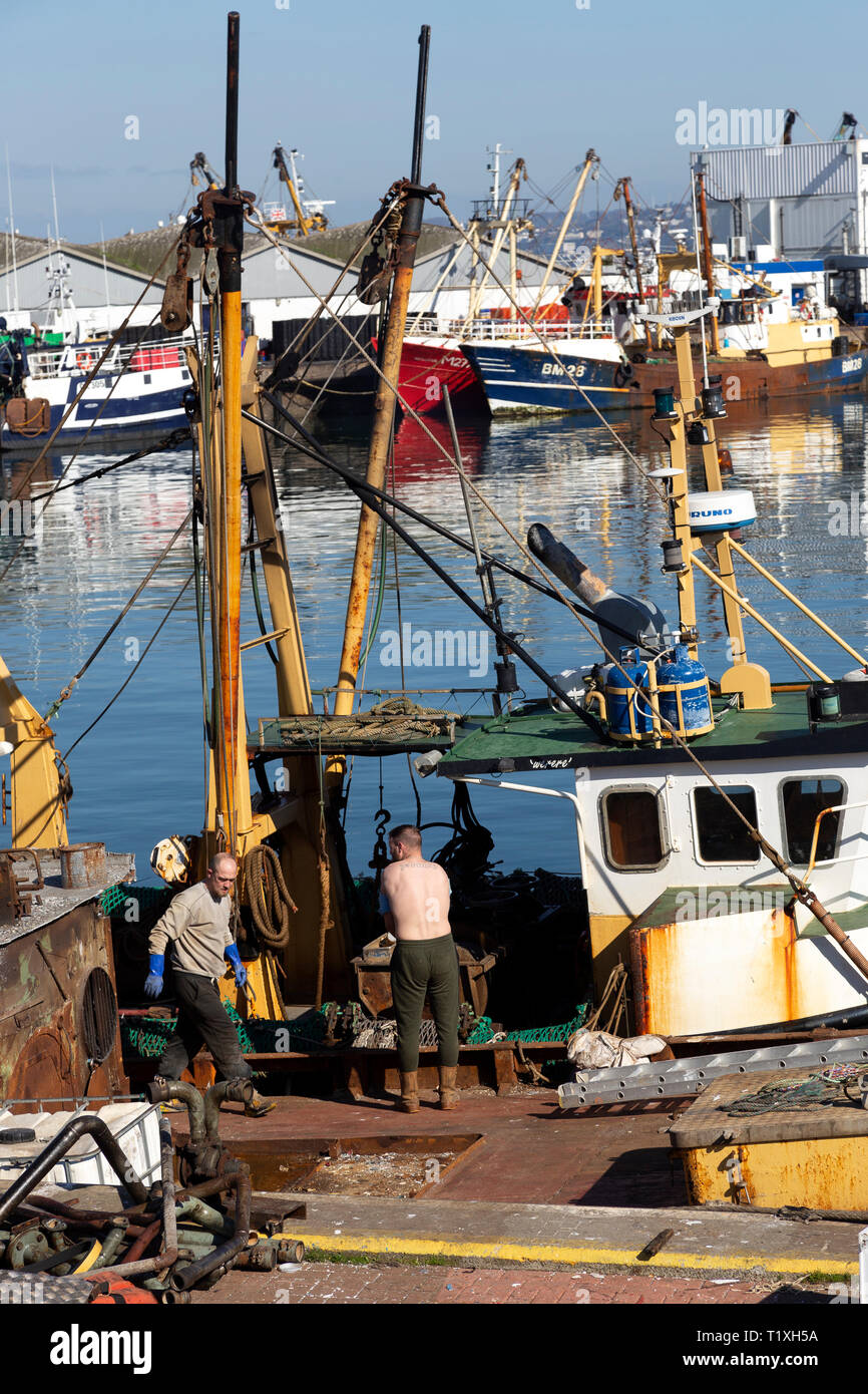 Brixham, Hafen, Torquay - England, Abenteuer, Balkon, Blau, die britische Kultur, Küste, Farbbild, Cottage, Devon, England, Englisch Stockfoto