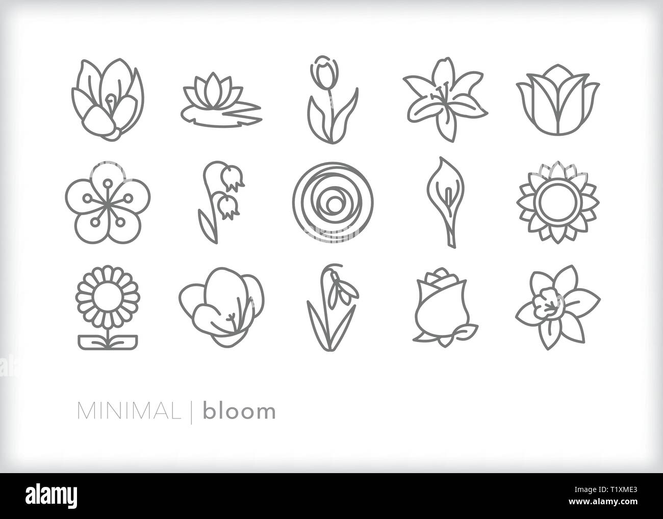 Satz von 15 bloom Zeile für Symbole für die verschiedenen Arten von Blumen in voller Blüte Stock Vektor