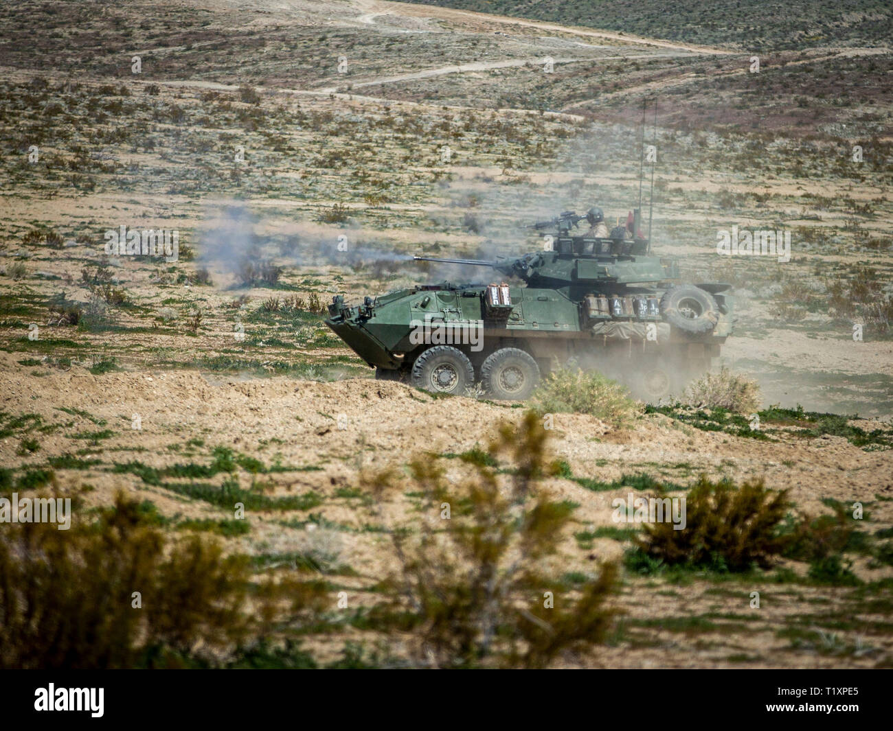 Ein U.S. Marine Corps leicht gepanzerten Fahrzeug mit 2 Light Armored Reconnaissance Battalion, 2nd Marine Division Brände beim Manövrieren bei einem platoon Level gunnery Range in Fort Irwin, Kalifornien, 24. März 2019. Die Einheit ausgeführt eine gunnery range Marines auf einem platoon Attack zu trainieren, während auch Leichte gepanzerte Fahrzeug crew Zusammenhalt Gebäude. (U.S. Marine Corps Foto von Sgt. Justin M. Smith) Stockfoto