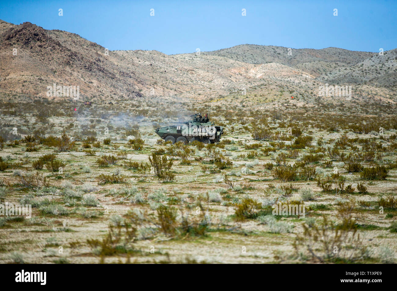 Ein U.S. Marine Corps leicht gepanzerten Fahrzeug mit 2 Light Armored Reconnaissance Battalion, 2nd Marine Division Brände beim Manövrieren bei einem platoon Level gunnery Range in Fort Irwin, Kalifornien, 24. März 2019. Die Einheit ausgeführt eine gunnery range Marines auf einem platoon Attack zu trainieren, während auch Leichte gepanzerte Fahrzeug crew Zusammenhalt Gebäude. (U.S. Marine Corps Foto von Sgt. Justin M. Smith) Stockfoto
