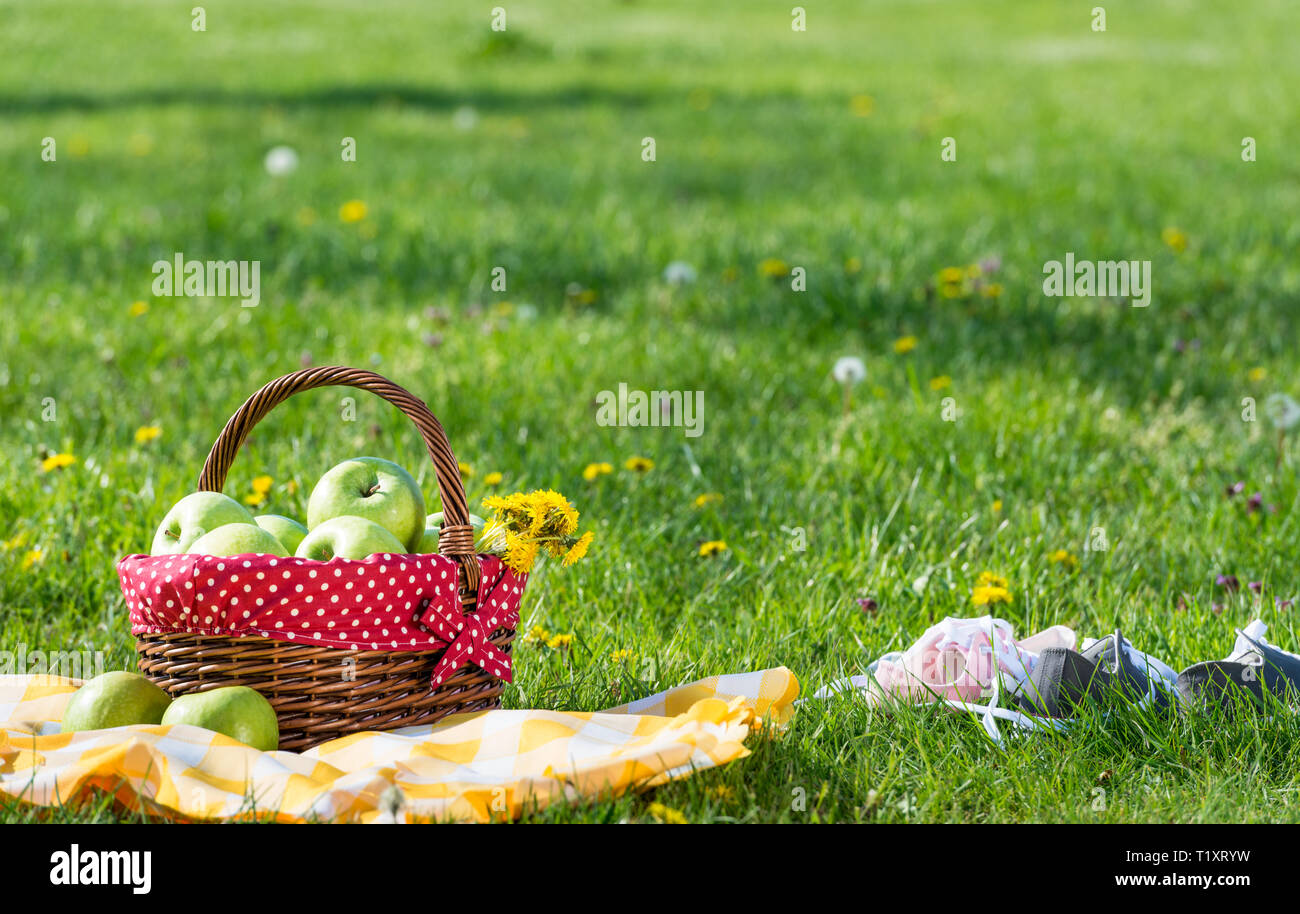 Picknickkorb und Decke Stockfoto