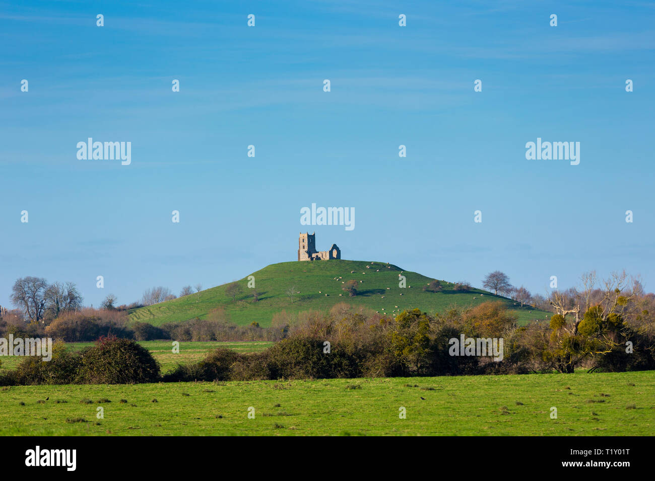 Denkmal des historischen Ort Burrow Mump Hill und Ruinen der alten St Michael's Church Denkmalgeschützte an Burrowbridge, Somerset, Großbritannien Stockfoto