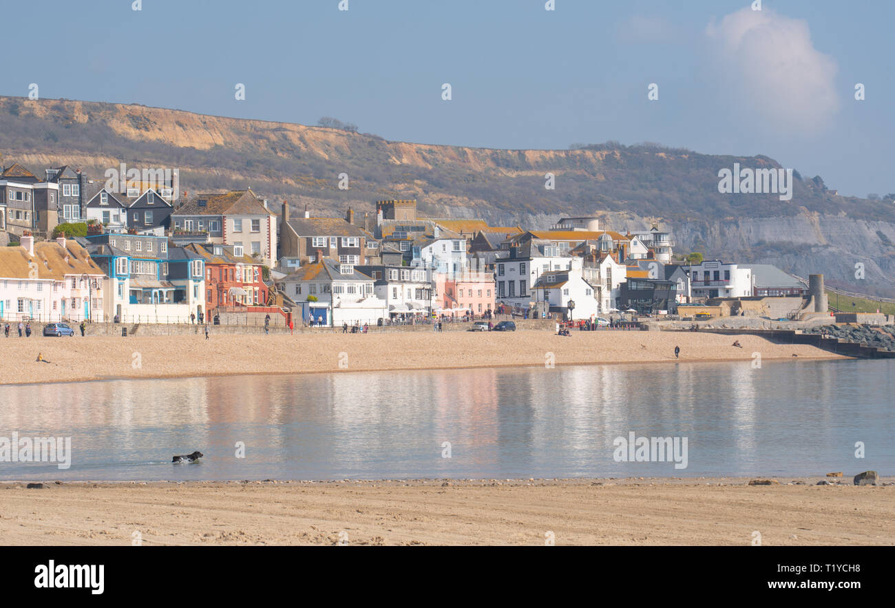 Lyme Regis, Dorset, Großbritannien. 29. März 2019. UK Wetter: Ein weiterer Tag der Sonne und strahlend blauen Himmel als Badeort von Lyme Regis in den frühen Frühling Hitzewelle weiter. Die malerischen Gebäude sind in den ruhigen Wasser wider. Credit: Celia McMahon/Alamy leben Nachrichten Stockfoto