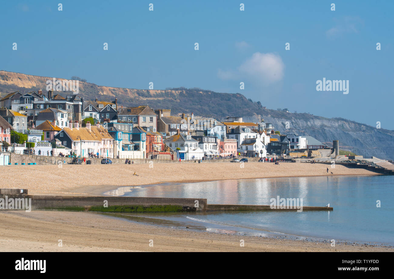 Lyme Regis, Dorset, Großbritannien. 29. März 2019. UK Wetter: Ein weiterer Tag der Sonne und strahlend blauen Himmel als Badeort von Lyme Regis in den frühen Frühling Hitzewelle weiter. Die malerischen Gebäude sind in den ruhigen Wasser wider. Credit: Celia McMahon/Alamy leben Nachrichten Stockfoto