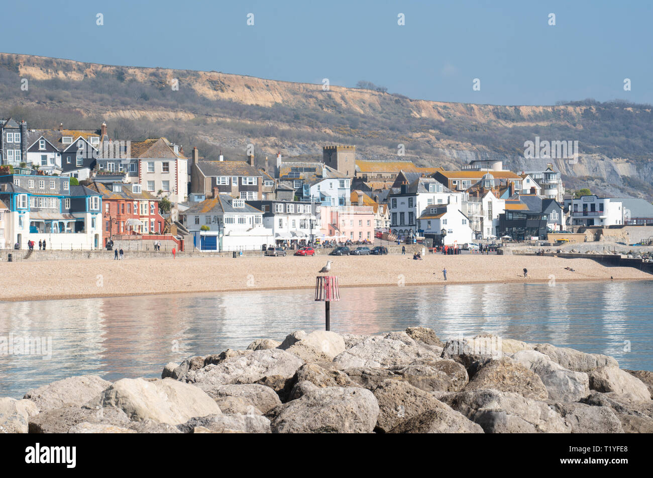 Lyme Regis, Dorset, Großbritannien. 29. März 2019. UK Wetter: Ein weiterer Tag der Sonne und strahlend blauen Himmel als Badeort von Lyme Regis in den frühen Frühling Hitzewelle weiter. Die malerischen Gebäude sind in den ruhigen Wasser wider. Credit: Celia McMahon/Alamy leben Nachrichten Stockfoto
