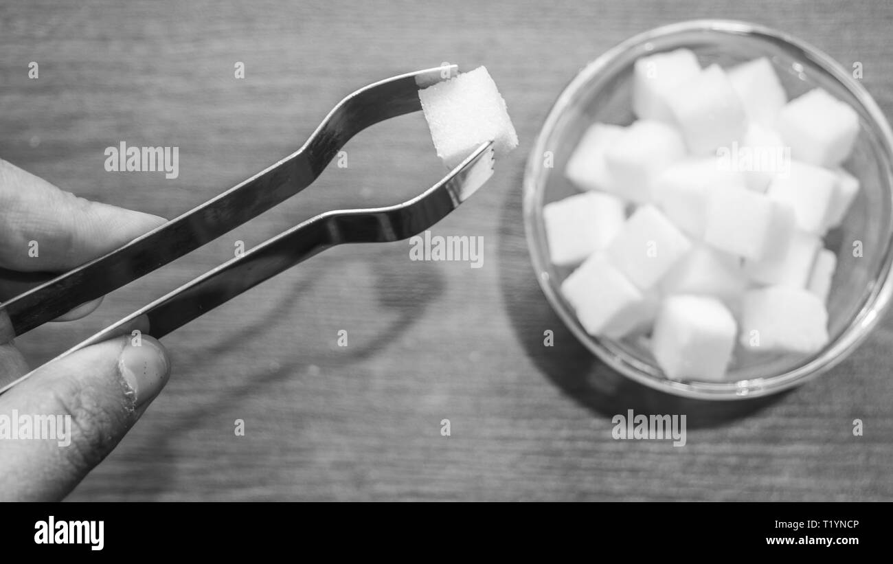 Eine Person mit einem Würfel Zucker in einer Schüssel mit einer Küche Zange foreceps. Menschliche finger Küche Einrichtung in Schwarz und Weiß Stockfoto