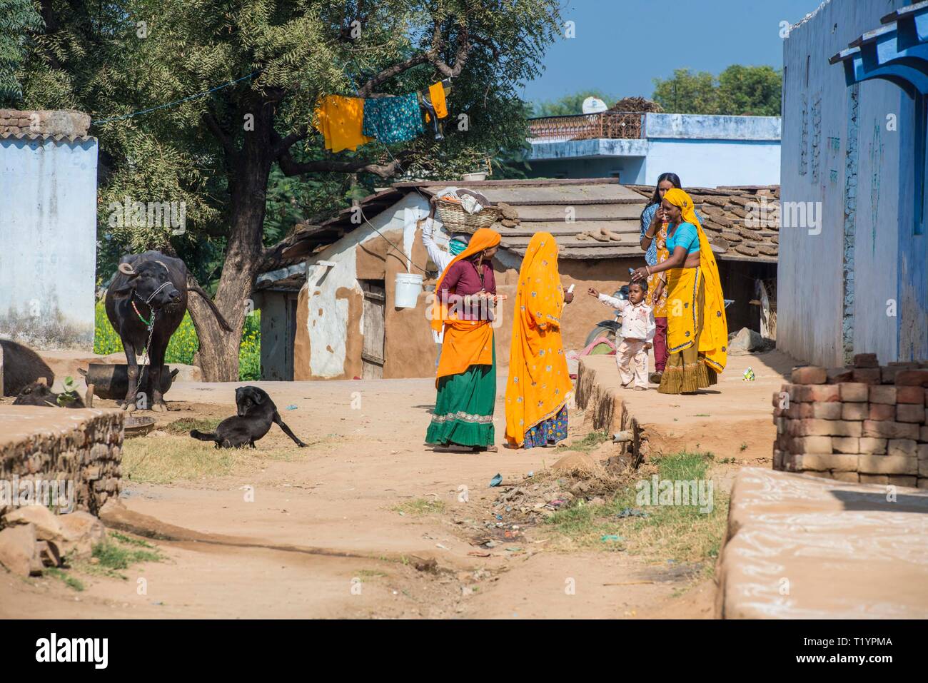 Indien, UTTAR PRADESH, Frauen treffen für ein Gespräch in einem kleinen Dorf in Uttar Pradesh Stockfoto