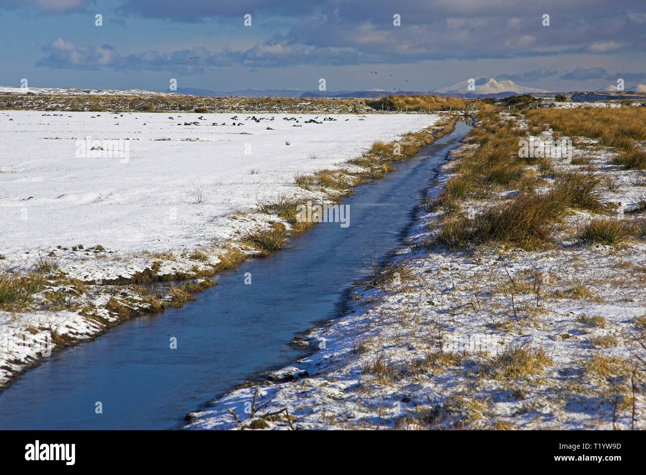 Entwässerungsgraben auf Loch Gruinart RSPB Reservat, Insel Islay, Schottland Stockfoto