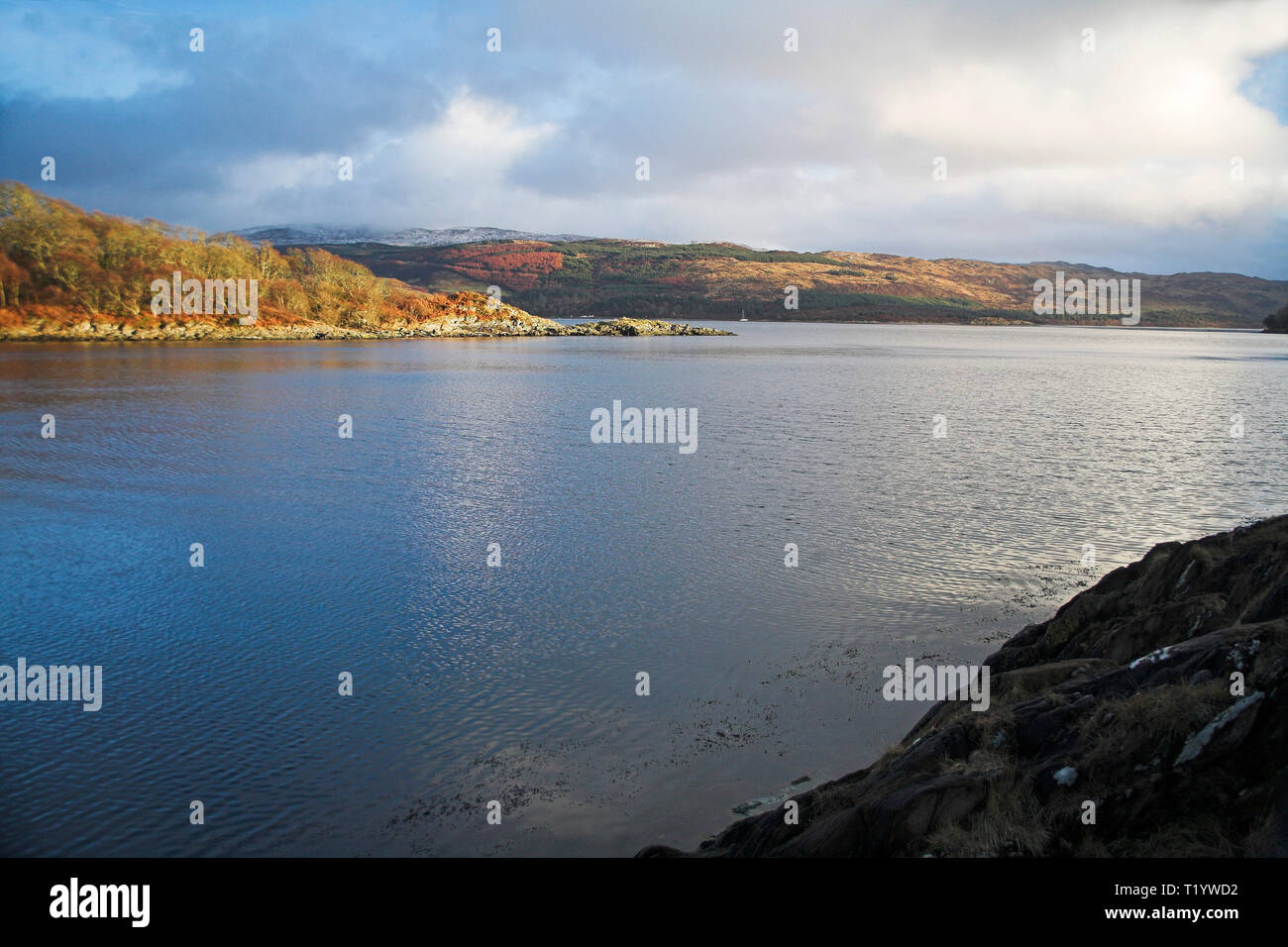 Abendlicht auf Loch Sween, Westküste von Schottland Stockfoto