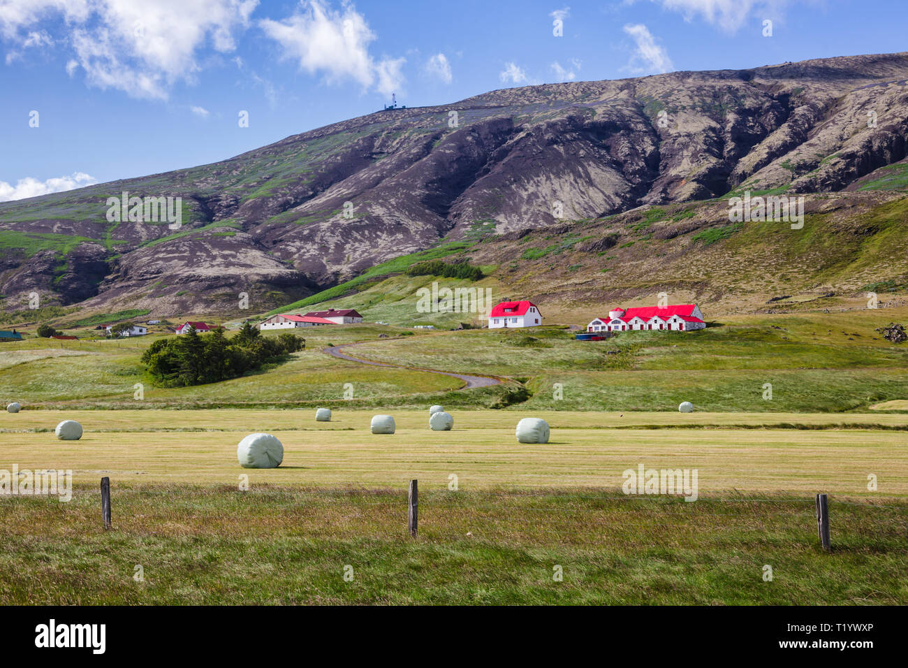 Isländische Landschaft mit Kunststoff umhüllt Heuballen auf einem Feld mit bauernhäusern am Fuße des vulkanischen Berg im östlichen Island, Skandinavien Stockfoto