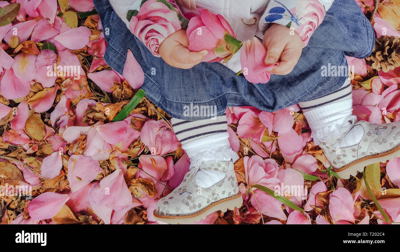 Ansicht von oben Baby Mädchen sitzen auf dem Boden in rosa Blütenblätter fallen, Gestreifte Strumpfhosen, blauen Rock und Silber Schuhe, Holding camelia Flower in Händen Stockfoto