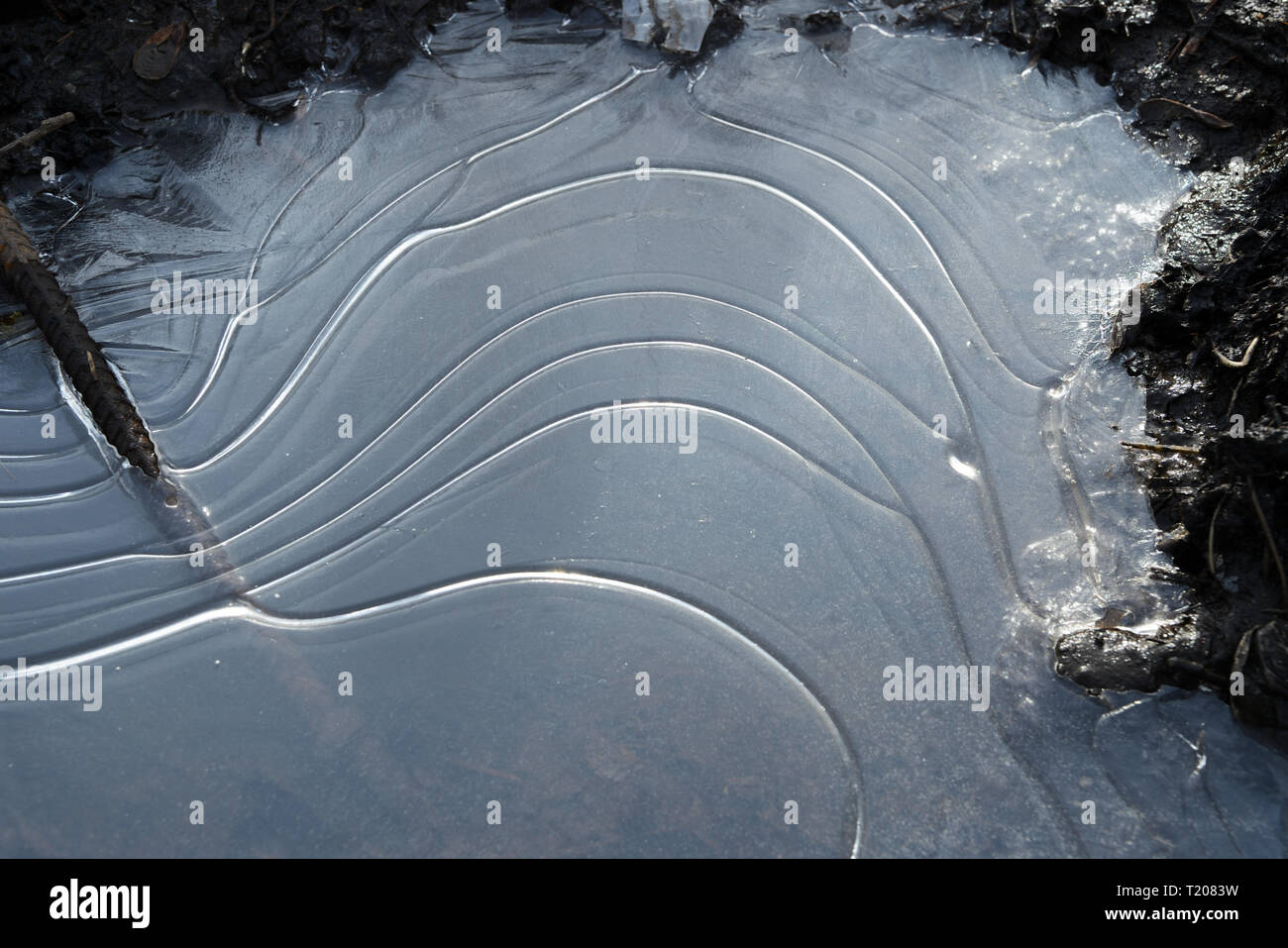 Eis auf einer gefrorenen Pfütze im Frühjahr Schlamm Nahaufnahme Stockfoto