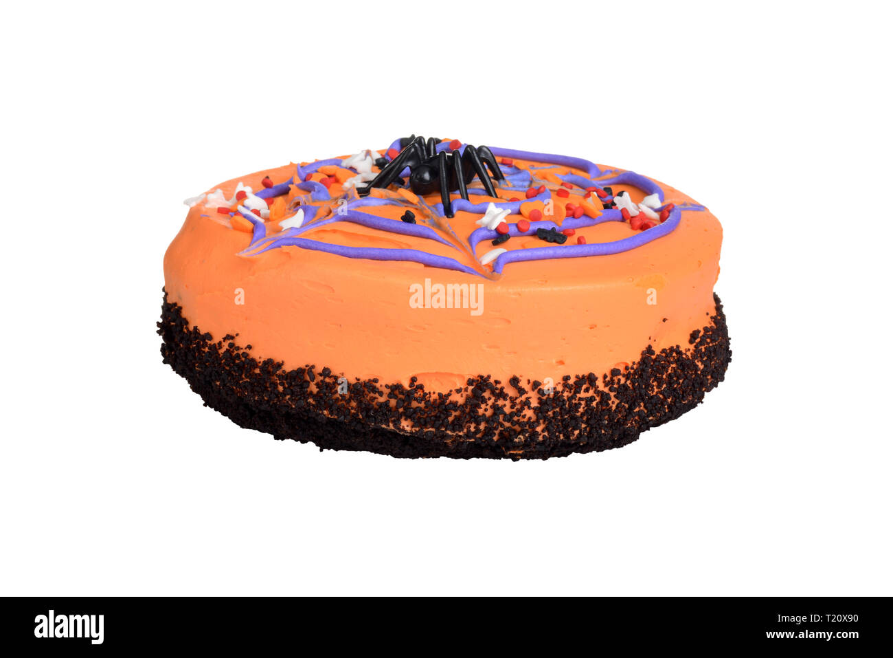 Isolierte Halloween Kuchen mit Spinne auf der Oberseite Stockfoto