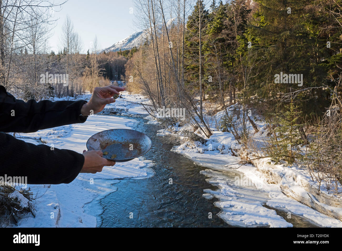 Goldwaschen in einem Bach im Winter in der Nähe von Hoffnung, der Kenai Halbinsel, Alaska Stockfoto