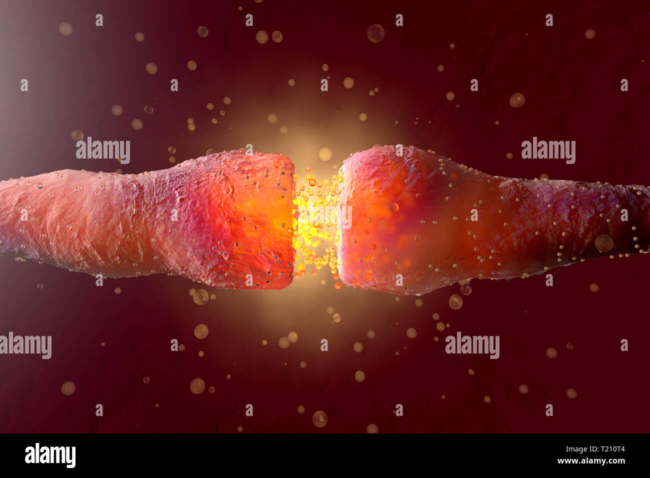 Gerenderten 3D-Illustration, Visualisierung von Neuronen feuern Neurotransmitter im synaptischen Spalt, Molekularbiologie Stockfoto