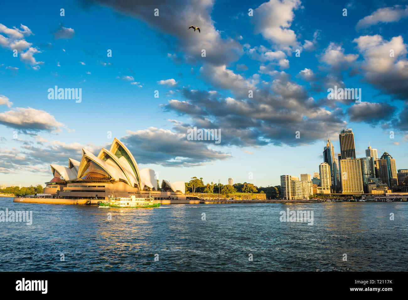 Australien, New South Wales, Sydney, Geschäftsviertel und Sydney Opera House im Abendlicht Stockfoto