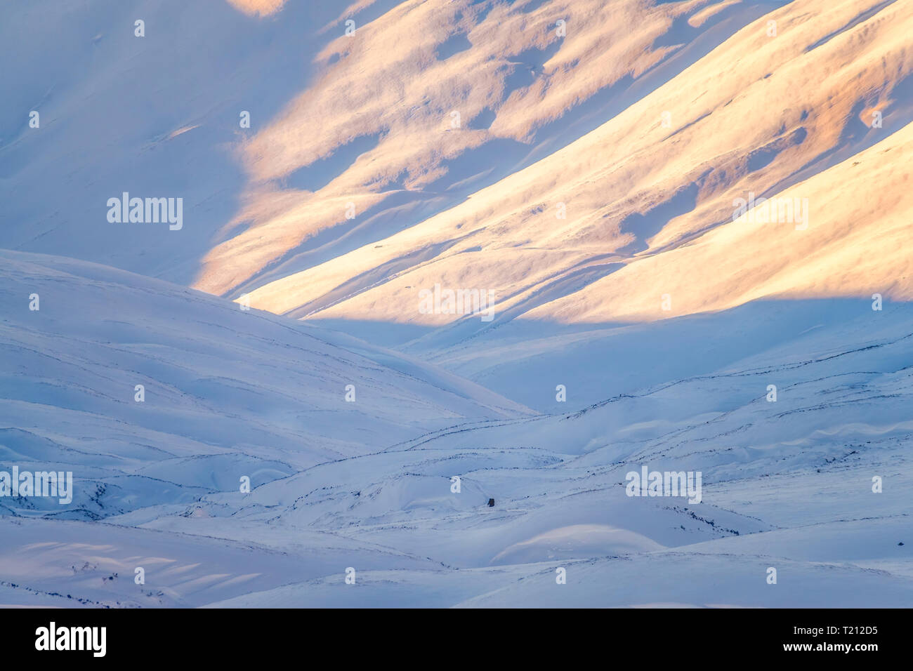 Großbritannien Schottland, Highlands, schnee, winter, kleine Person Stockfoto