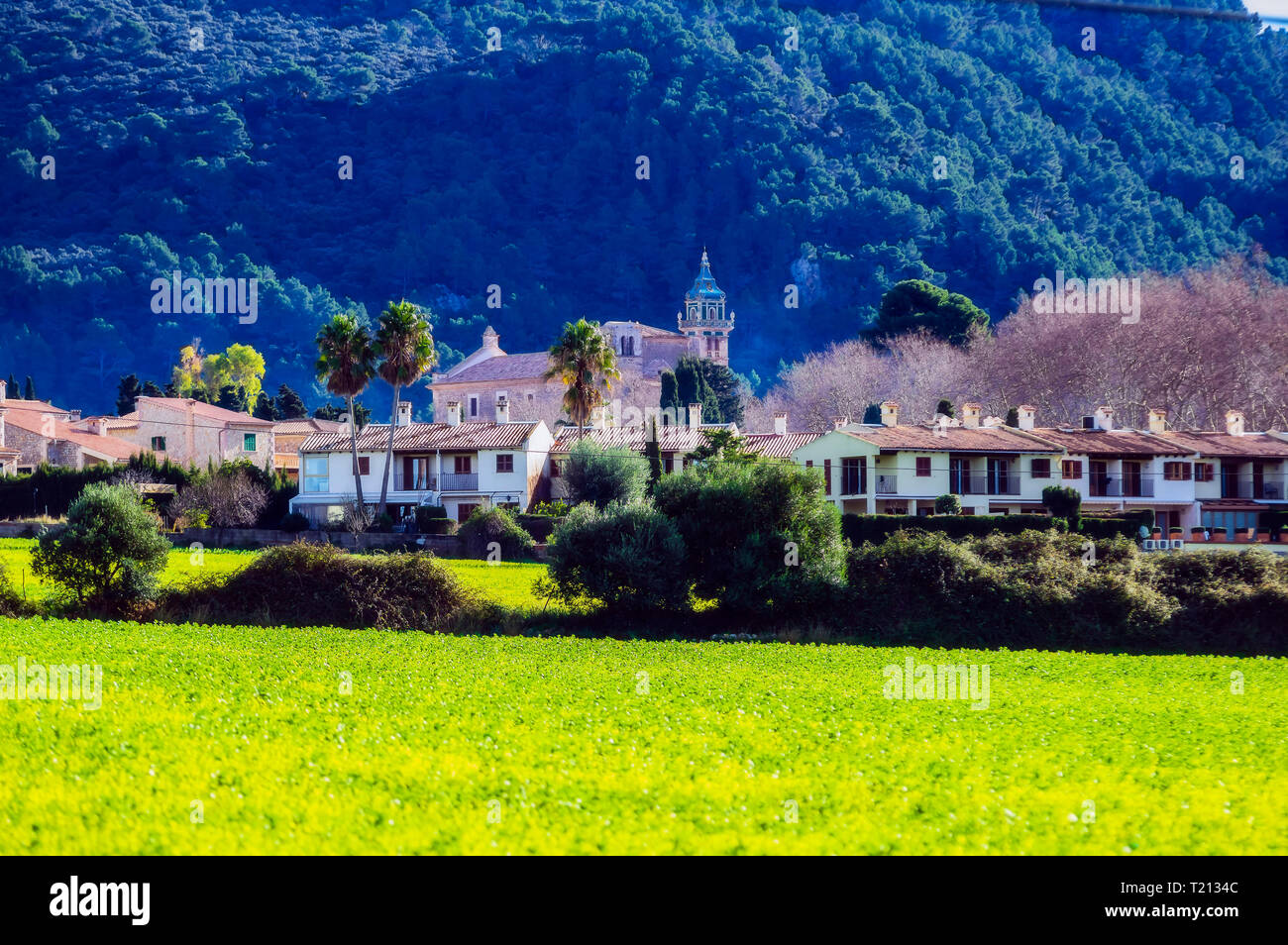 Spanien, Mallorca, Paguera Stockfoto