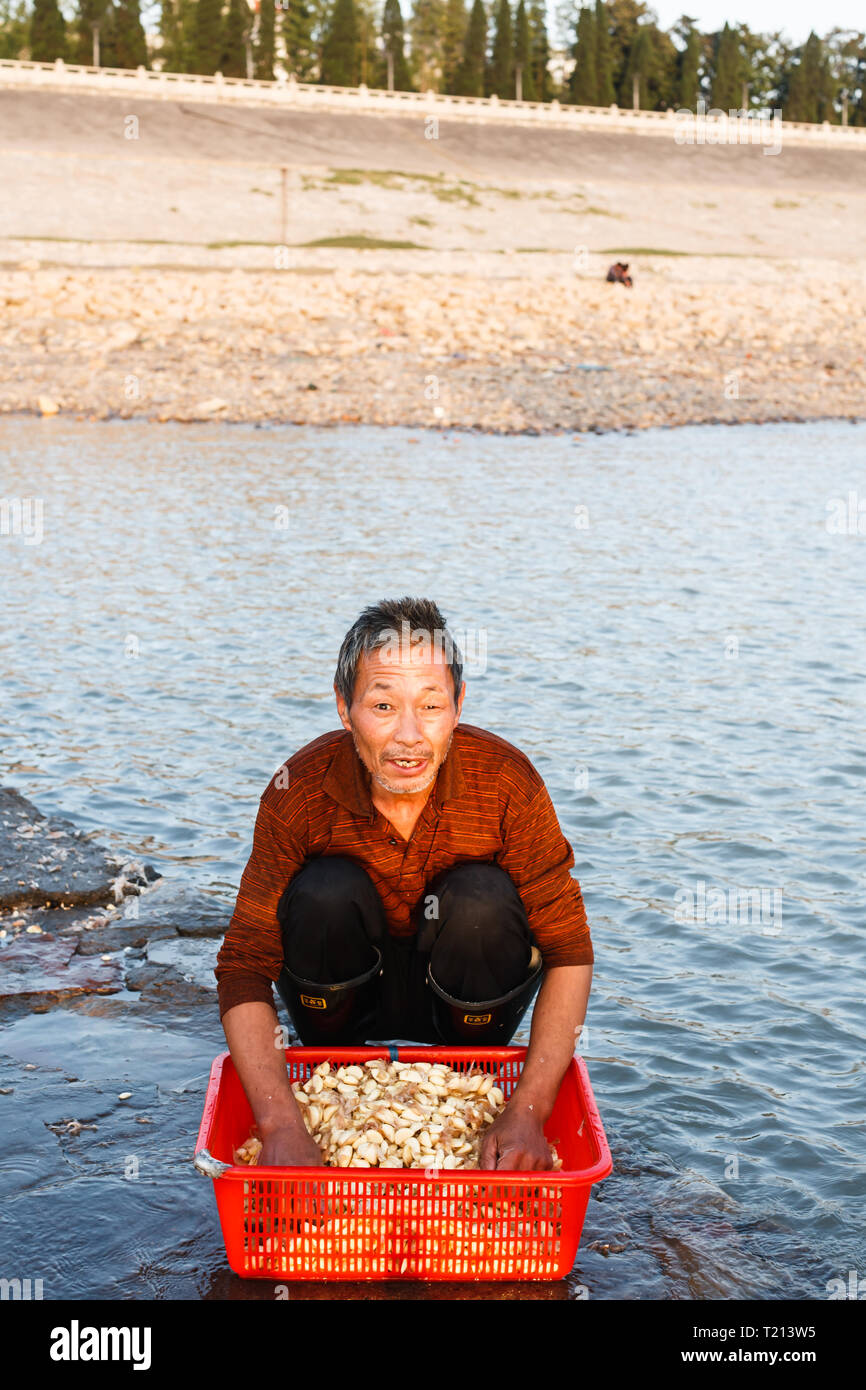 Man reinigt Korb der Knoblauchzehen von Riverside in Yangshao, China Stockfoto